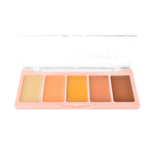 Micolor 5-Color Concealers Makeup